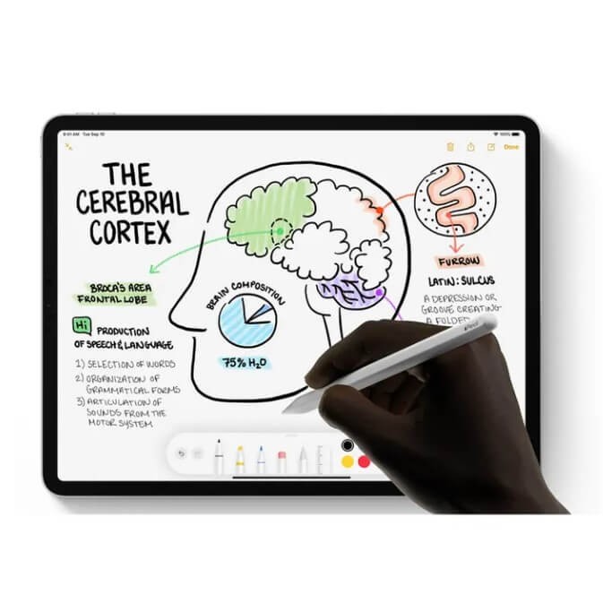 APPLE Pencil 2 Oригинална Писалка - Смарт джаджи APPLE Pencil 2 Oригинална Писалка - APPLE Pencil 2 Oригинална Писалка